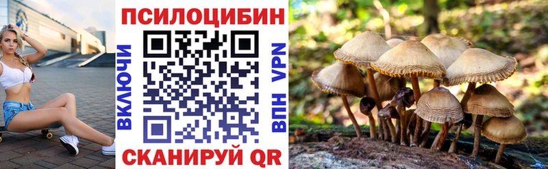 Купить закладки  Дюртюли  Галлюциногенные грибы GOLDEN TEACHER 