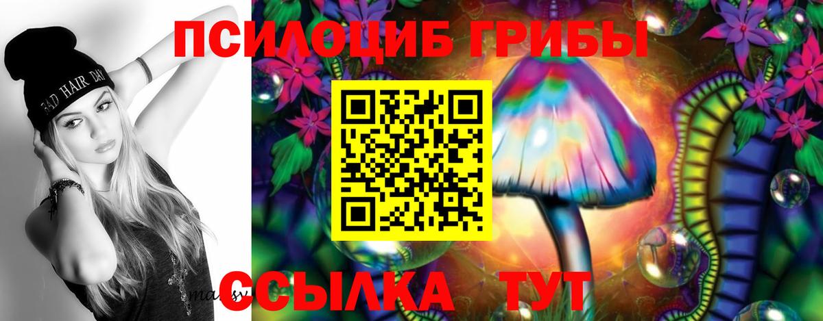 Псилоцибиновые грибы Psilocybe  дарнет шоп  Псилоцибиновые грибы MAGIC MUSHROOMS  Дюртюли 